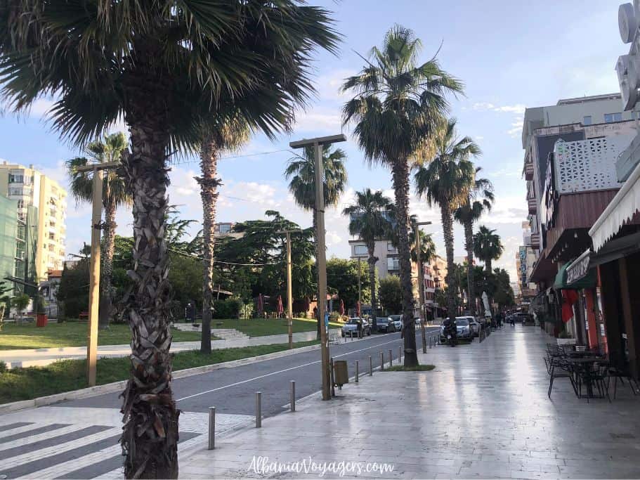 main road in Durres with palm trees