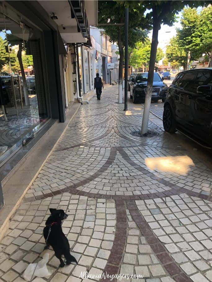 Decorative patern in tiled sidewalk in Sarands with little back dog walking