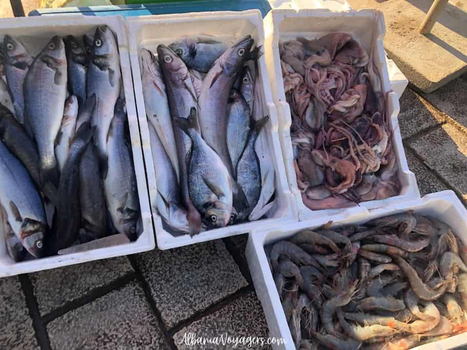 white styrofoam boxes full of fresh fish, squid and shrimp