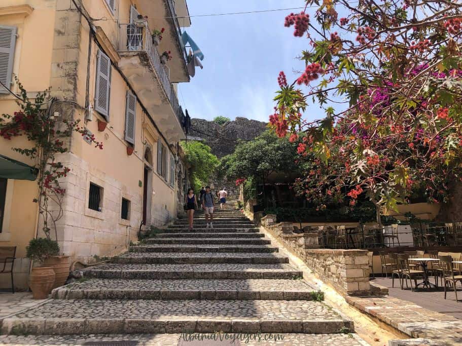 looking up wide stone staircase with flowering bushes on one side and traditinal historic home on other