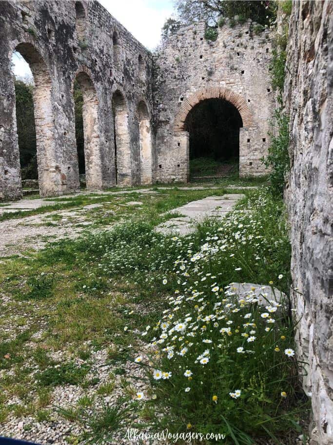 view of Basilica at Butrint with daisies flowering