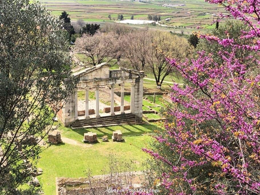 Diana Temple at Apollonia framed by flowering trees, one of the best day trips from Vlore Beach