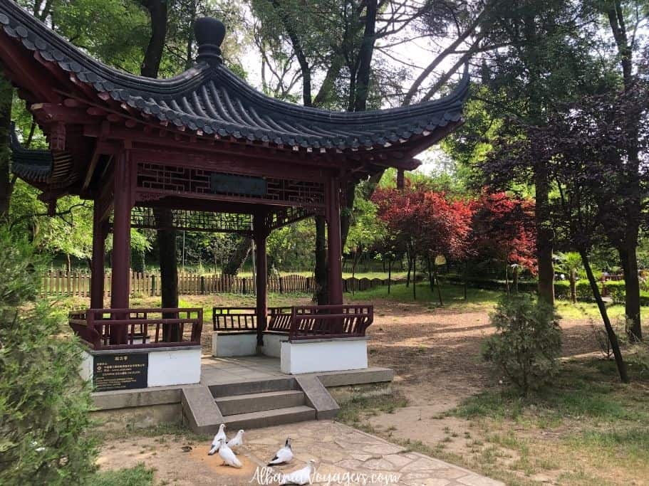 Chinese pagoda in Grand Park, Tirana - great on a city break