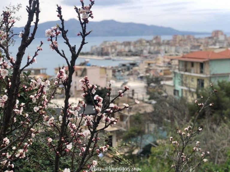 almond trees blooming in Saranda, Albania in spring