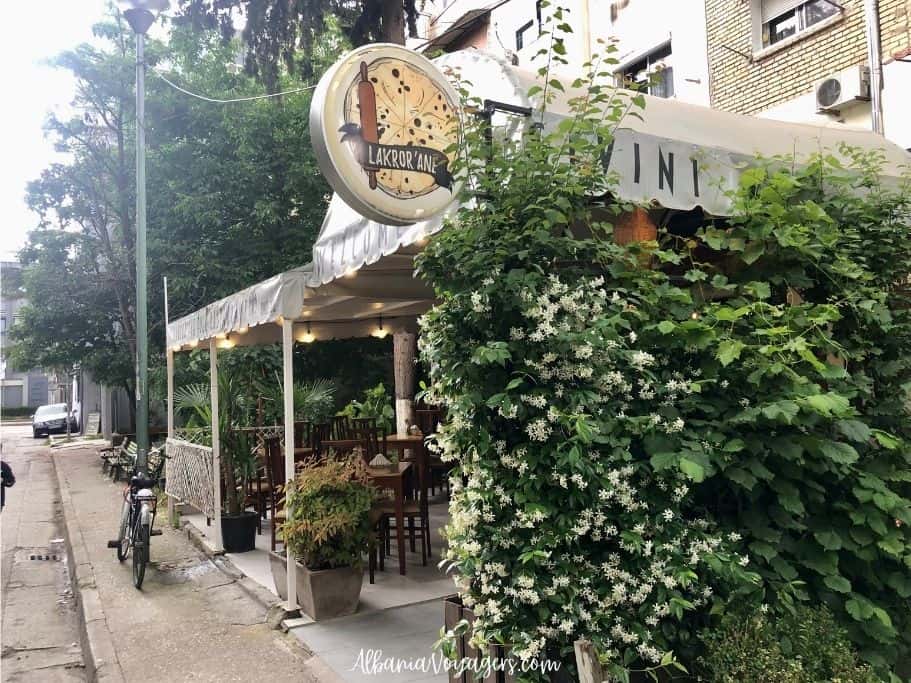 Jasmine blooming beside Lakror'ane restaurant in Tirana