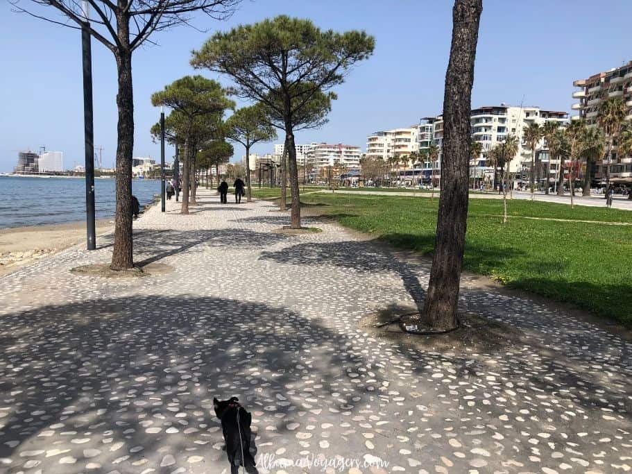 Vlore beach promenade on sunny day with black dog walking, the best thing to do