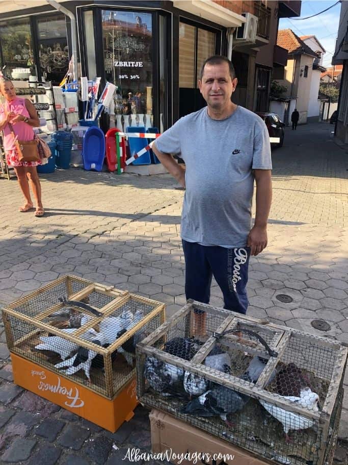 man in grey t-shirt in front of cages with pigeons in Prizren, Kosovo